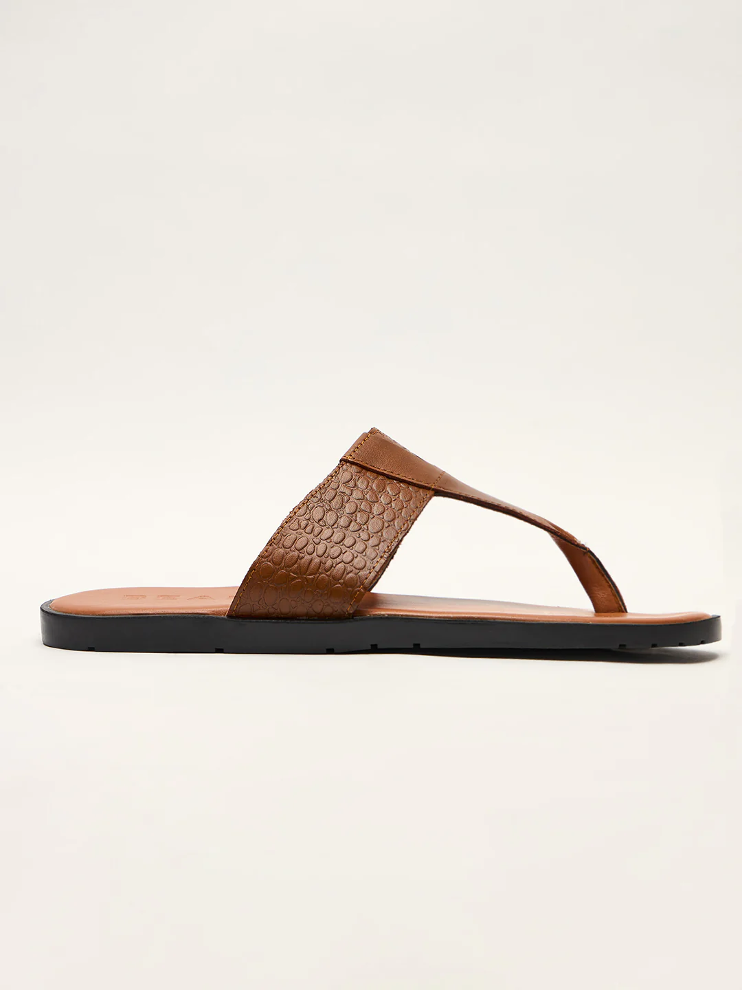 NAPO - Image 2