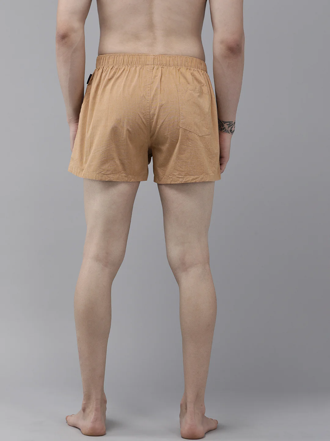 Tique - Image 4